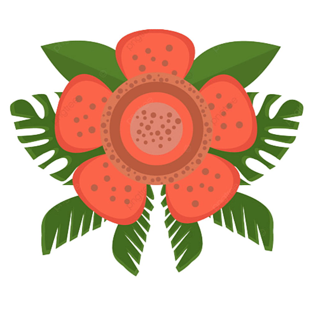 pngtree red rafflesia flat design png image 3416906 removebg preview