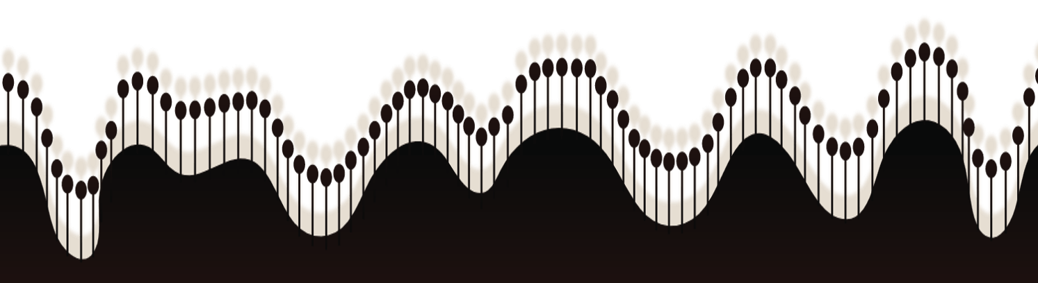 Picture2 3 e1665239643416