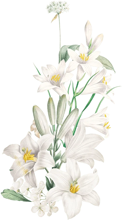 2Flower