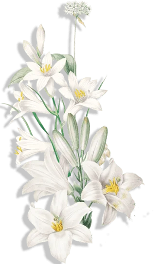 Flower vertikal