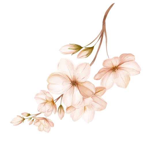 aset floral 2